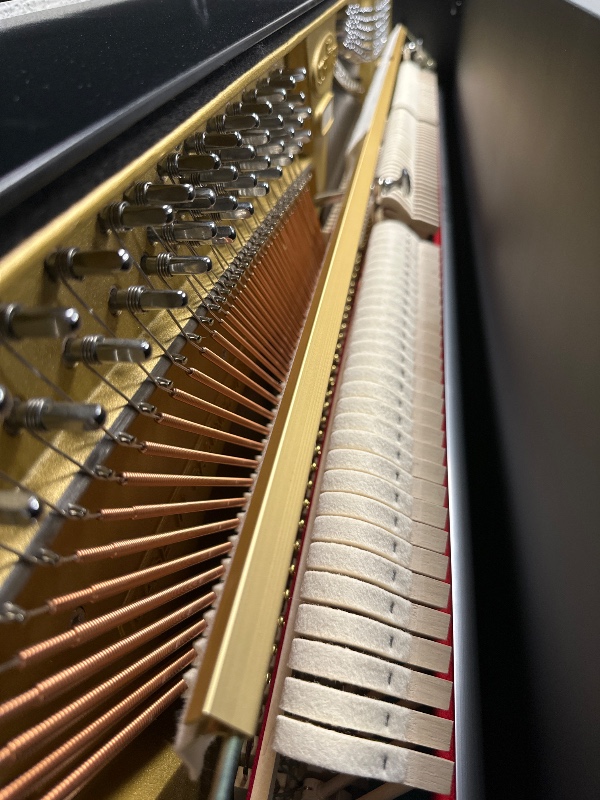 Additional image for Wilhelm Schimmel W114